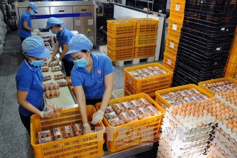 Vietnam regula contingentes arancelarias para importación de tabaco crudo y huevos