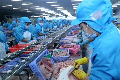 Exportaciones acuícolas de Vietnam podrían llegar casi nueve mil millones de dólares