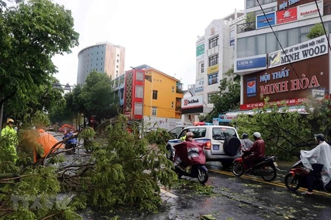 Simpatiza Laos con Vietnam por daños del tifón Noul 