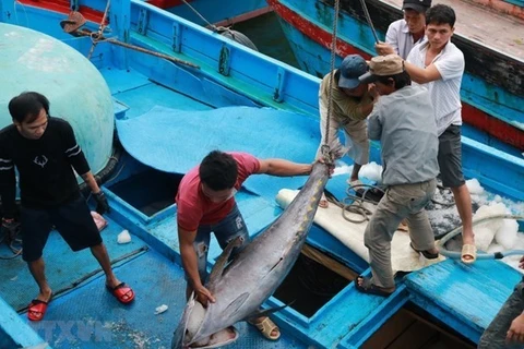 Exhortan en Vietnam mayor esfuerzo en prevención contra la pesca ilegal