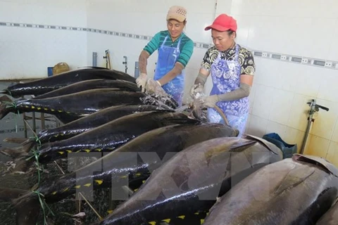 Vietnam busca promover las exportaciones de atún a la UE