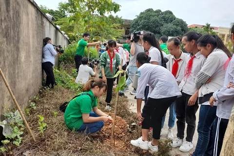 Campaña para reverdecer Hanoi con cuatro mil árboles