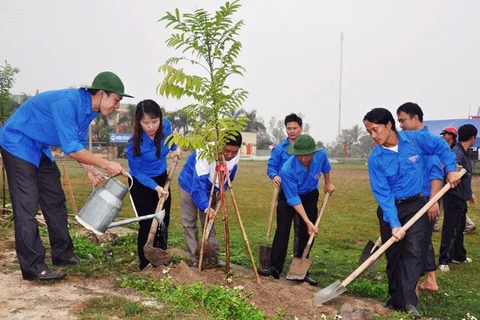 Miles de estudiantes participan en carrera comunitaria por la plantación de árboles