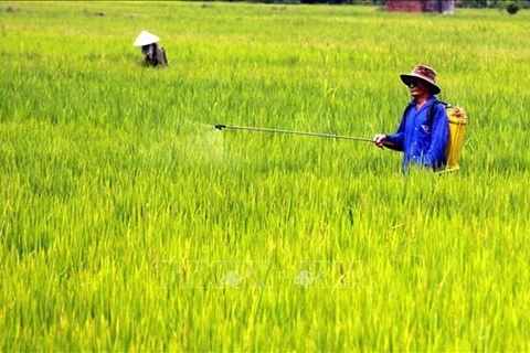 Vietnam celebra acto por el aniversario 40 del Día Mundial de la Alimentación