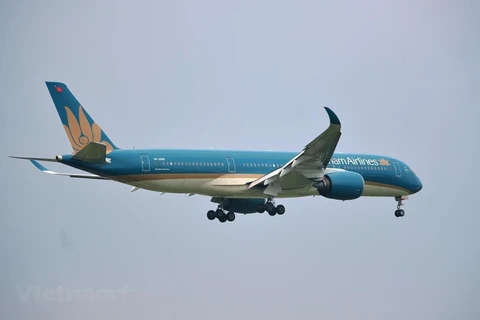 Incrementa Vietnam Airlines vuelos domésticos 