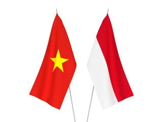 Analizan frutos y perspectivas de relaciones Vietnam-Indonesia 
