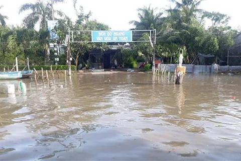 Provincia de Bac Lieu financia millones de dólares para combatir cambio climático 