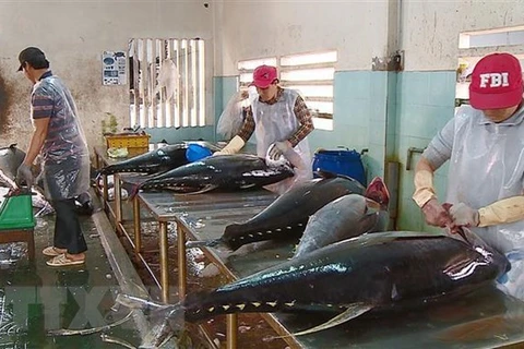 Exportaciones de atún de Vietnam a Italia registraron aumento de 8,5 por ciento en septiembre