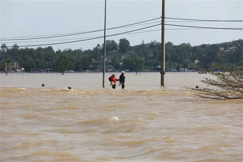 Organizaciones internacionales muestran solidaridad con los afectados por inundaciones en Vietnam