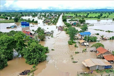 Unión Europea proporciona 400 mil euros para ayudar a las víctimas de las inundaciones en Camboya