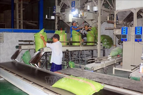 Balanza comercial de Vietnam registra superávit récord en los primeros 10 meses