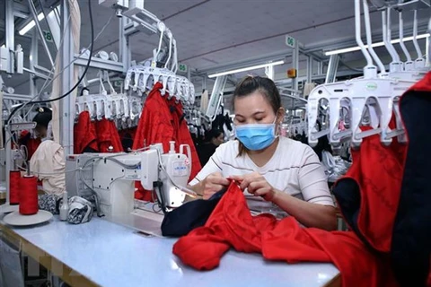 Crece número de nuevas empresas en Vietnam en octubre