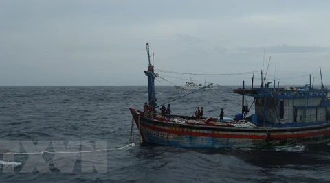 Rescatan a tres pescadores de la provincia vietnamita de Binh Dinh a la deriva en el mar