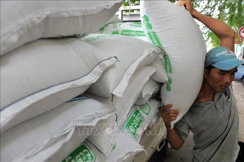 Exportaciones de arroz camboyano con fuerte aumento de enero a octubre
