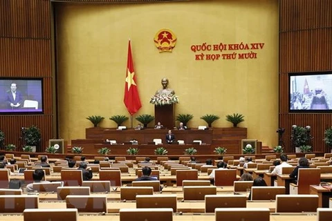 Legisladores vietnamitas proponen recuperar superficie de bosques naturales destruidos