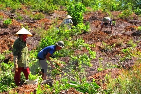 Promueven en Vietnam participación comunitaria en evaluación de impactos ambientales 