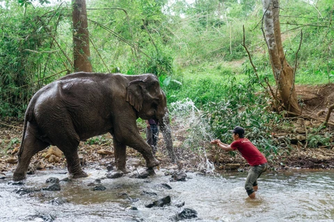 Ingresa Camboya 25 millones de dólares por ecoturismo en nueve meses 