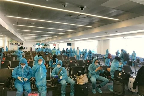 Repatrían a 240 ciudadanos vietnamitas desde Corea del Sur por COVID-19