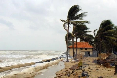 Desastres naturales provocan pérdidas de 43 millones de dólares para Ca Mau 