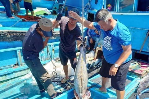 Provincia vietnamita de Kien Giang refuerza medidas contra pesca ilegal