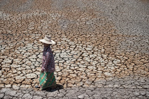 ASEAN y UNESCAP por fomentar la resiliencia ante la sequía en el Sudeste Asiático