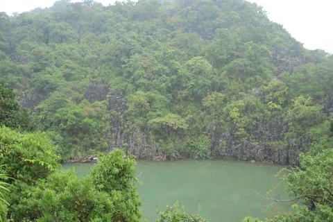 Descubra el Parque Nacional Bai Tu Long en Vietnam
