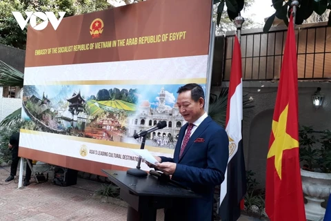 Divulgan valores culturales vietnamita en Egipto