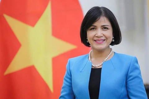 Promueve Vietnam cooperación internacional en el desminado humanitario