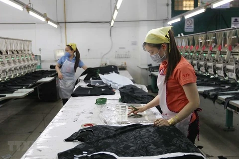 Número de empresas nuevas en Vietnam crece 7,3 por ciento en noviembre