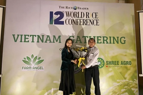 Gana variedad de arroz vietnamita premio en concurso internacional