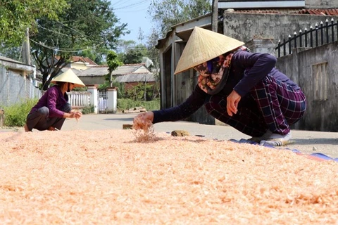 Enfocada provincia vietnamita de Bac Lieu en reducción de la pobreza