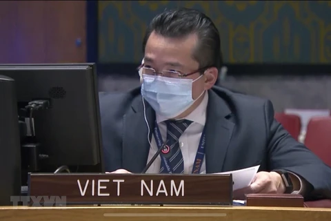Vietnam expresa preocupaciones sobre espiral de violencia en la República Democrática del Congo