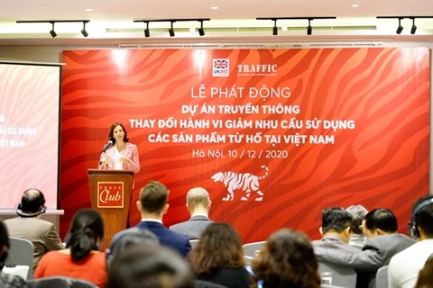Disminuye demanda de productos procesados de tigre en Vietnam