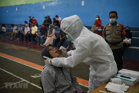 Indonesia se prepara para importar millones de dosis de vacuna contra el COVID-19