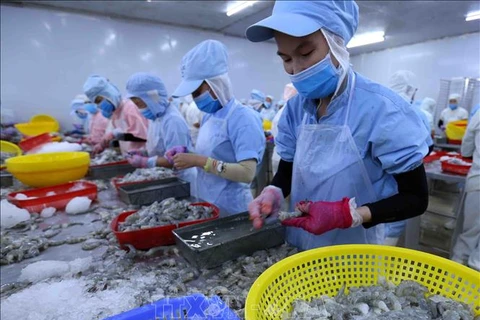 Exportaciones de productos acuáticos vietnamitas superan siete mil millones de dólares hasta noviembre