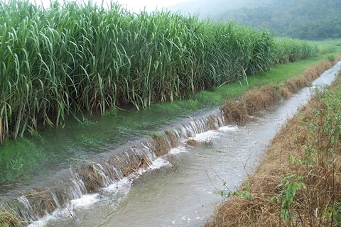 Vietnam y Taiwán (China) discuten métodos de descontaminación de suelos y aguas subterráneas