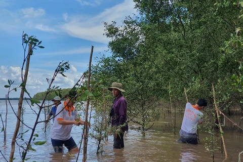 Fortalecen la resiliencia al cambio climático de las localidades costeras en Vietnam