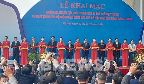 Presentan avances en desarrollo de economía colectiva en Vietnam