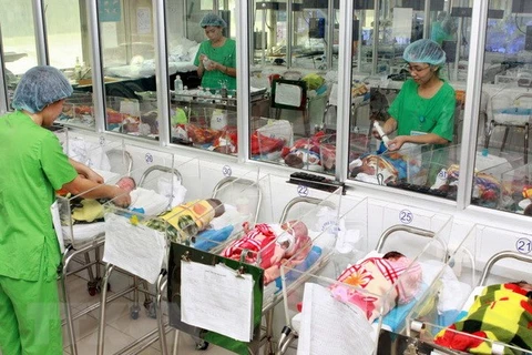Vietnam enfrentará el envejecimiento poblacional para 2026
