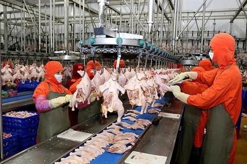 Entra en operación mayor planta procesadora avícola en el Sudeste Asiático 