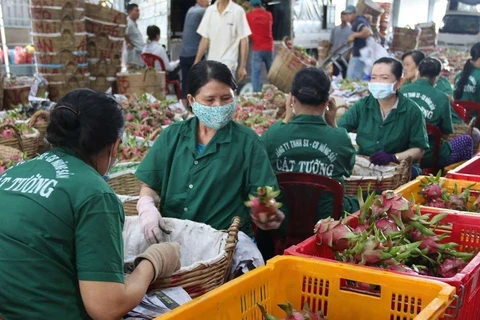 Provincia vietnamita Tien Giang apunta incrementar exportaciones en 2021