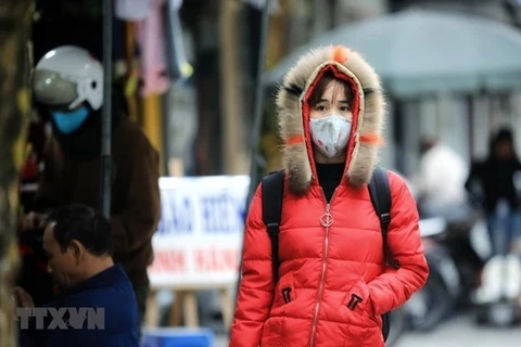 Autoridades vietnamitas adoptan medidas preventivas contra frío intenso