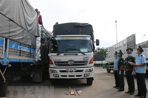 Provincia vietnamita registra exportaciones multimillonarias por puertas fronterizas