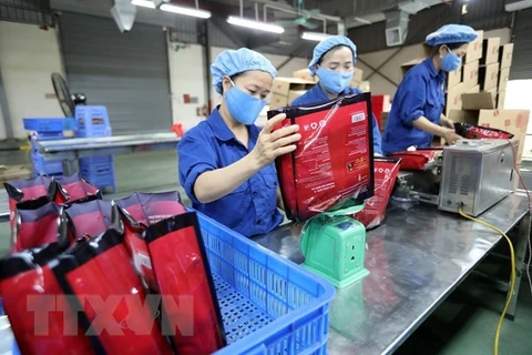 Exportaciones vietnamitas a Israel, en recuperación pese a COVID-19