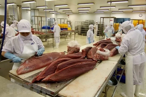 Exportaciones vietnamitas de atún se quintuplican en enero