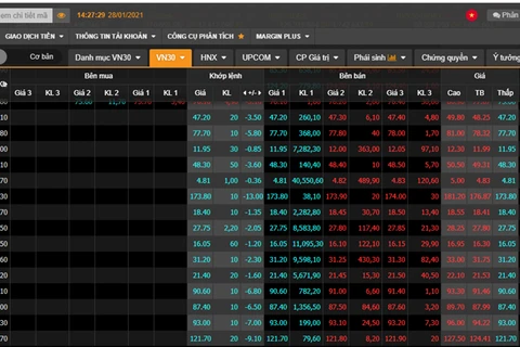 Acciones en mercado bursátil de Vietnam sufren caída más drástica en historia