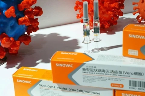 Aprueba Indonesia la vacuna china Sinovac para personas mayores
