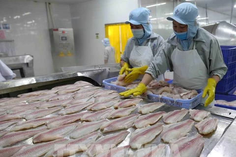Provincia vietnamita insta a supervisar calidad de productos exportados a China