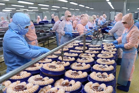 TLC con la Unión Europea impulsa exportaciones agrícolas de Vietnam a los Países Bajos 