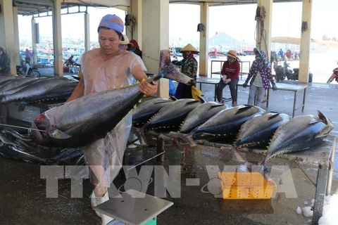 Crecen exportaciones de atún de Vietnam a UE gracias al EVFTA
